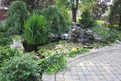 pond-landscape-central-pa