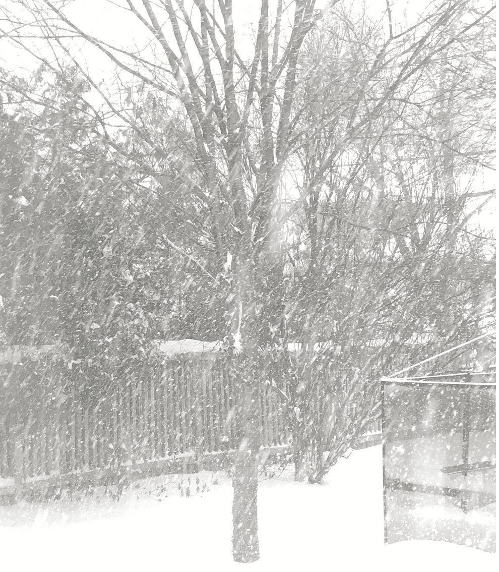 reading-landscape-company-pa