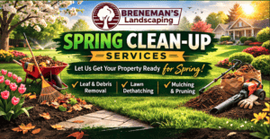 lancaster-yard-clean-up