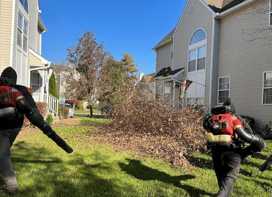 lebanon-pa-yard-clean-up
