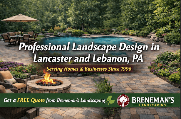 landscaper-lancaster-pa